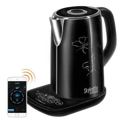 Умный чайник Redmond SkyKettle M170S-E Black в Элекс